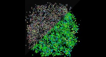 400 Stuks - Gekleurde kralen 3mm in pastelkleuren - Glow in the dark - DIY sieraden maken voor kettingen en armbandjes