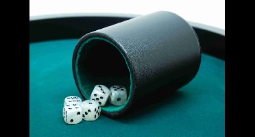 Hot Games Dobbelbeker Pro zw.Kunstleder 10x8cm..