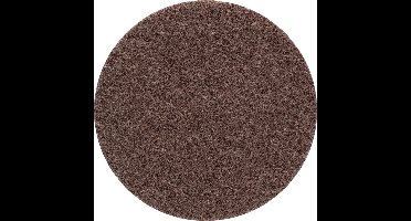 Bosch Accessories 2608901388 EXPERT N880 vliesschijf voor excentrische schuurmachine, 150 mm, grof, 5-delig N/A 5 stuk(s)