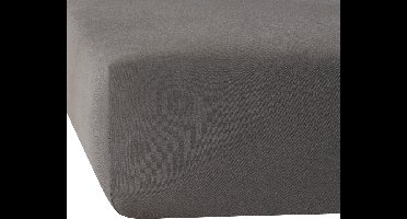 De Witte Lietaer Hoeslaken Elena Grey - 140 x 200/220 x h 30 - Katoen Jersey