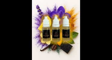 Elluxuryparfum - Autoparfum Navulling 3-Pack – Boss Bottle Geur – Luxe & Langdurige Autogeur