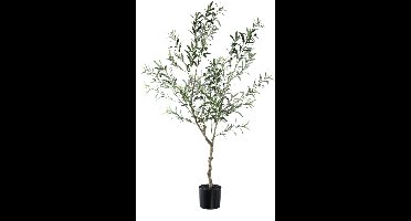 PTMD Kunstplant Olive - 110x70x156 cm - Polyester - Groen