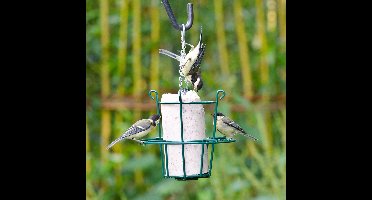 CJ Wildlife - Pindacakehouder - Groen - Metaal - Vogelvoederplek