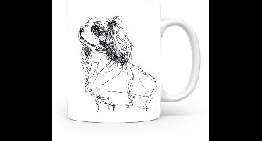 Beker Epagneul Nain Continental (Papillon/Phalène)