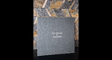 Eviva Home Deco Leisteen Borrelplank Vierkant - Graveertekst "Say Cheese & ROARRR!" - Luxe Kaasplank 25x25 cm