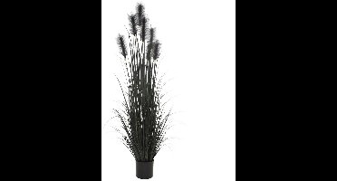 Kunstplant Pluimgras in Pot Zwart - 183 cm