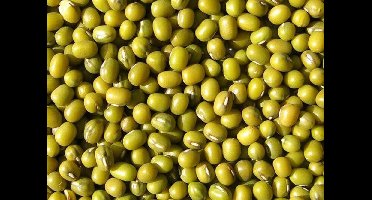 Wielink Katjang Idjoe 25 kg