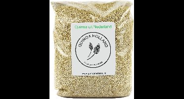 Nederlandse Quinoa - 9 KG - Onbespoten - Natuurlijk Geteeld - Wit Volkoren - Koken Zonder Spoelen - Superfood