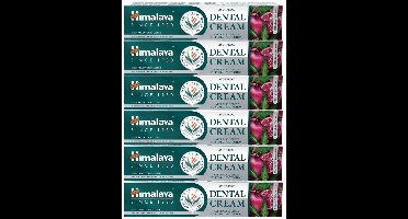 Himalaya Ayurvedic Dental Cream with Natural Fluoride - 6 x 100g - Voordeelverpakking - Tandpasta - Ayurvedische Kruidentandpasta met Fluoride voor Gezonde Tanden en Tandvlees