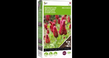 Buzzy® Groenbemester Incarnaatklaver - 200 gram