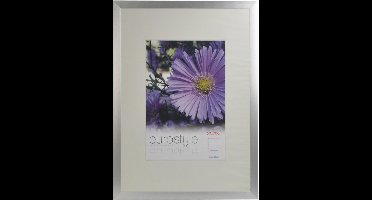 Desq 4905 | Fotolijst Aluminium | Sterk Helder Plexiglas | 50 × 70 cm