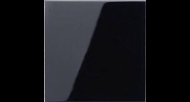 Jung LS990 Schakelelement/Centrale Plaat - LS990SW - E2AK2