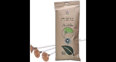 Witbaard Ballonstokken 25 Cm Karton Bruin/wit 25-delig