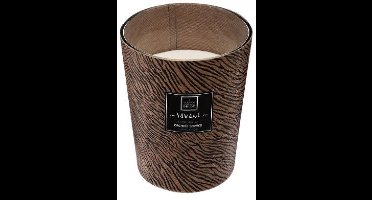 Geurkaars Orchidee - Bruine Zebraprint