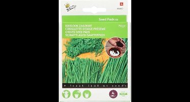 Buzzy Zaden - Fun Seedpads Bieslook 4 st