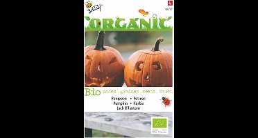 Buzzy® Organic Pompoen Jack O'Lantern (BIO)