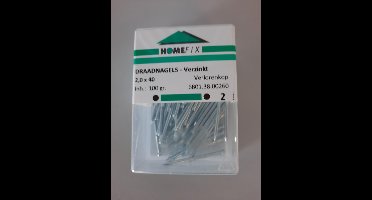 Homefix draadnagels verzinkt 2,0 x 40mm 100gr