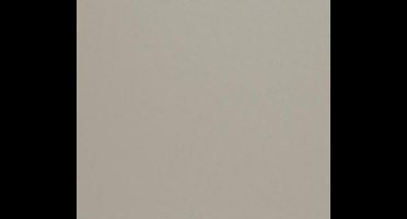 Folia Etalagekarton 380gr. zilver 48X68CM