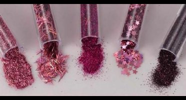Glitterset assorti Cerise 1.8 Gram 5 Stuks