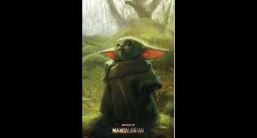 Mandalorian poster - The Child - Yoda - Star Wars - 61 x 91,5 cm