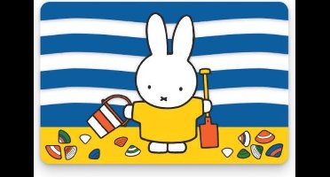 PLACEMAT NIJNTJE OP HET STRAND - MTDAY