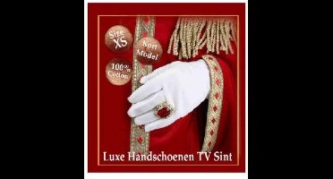 Witte Handschoenen Luxe TV Sint.