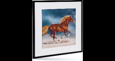Diamond painting | Paard | Afmeting: 30 x 30 CM | Inclusief diamond painting pen | Diamond painting volwassenen