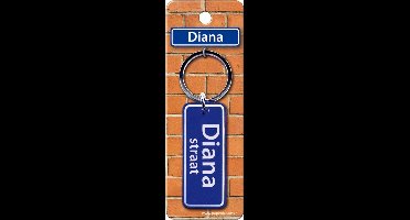 Paper Dreams Sleutelhanger Diana Straat 9 X 3 Cm Staal Blauw