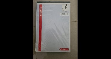 Esselte schrijfblok A4 lijntjes papier