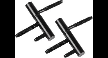 Starx - inboor paumelle (scharnier) - voor opdekdeur - voor houten kozijnen-75 x 14 mm - zwart - 2 stuks