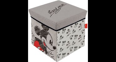 Mickey Mouse Opbergkruk 30x30x30 Cm Transparant