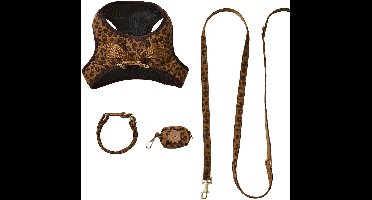 Vertbaudet Hondenwandeling set: harnas + riem + halsband