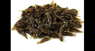 25 Stuks - Imitatie Garnalen 2,5cm - Legergroen - Zwevend - Baarsvissen - Nep garnalen - Kunstaas - Softbait - Streetfishing