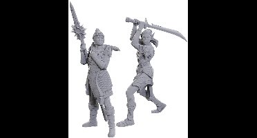 D&D Nolzur's Baldur's Gate Lae'zel & Shadowheart