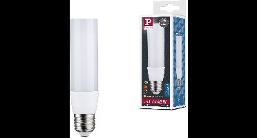 Standaard 230 V LED Deco Pipe E27 520lm 5,5W 2700K dimbaar Satijn