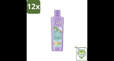 Andrélon – Shampoo – Volume Boost – 250 ml - Voordeelverpakking - 12 stuks - Haar volume - Kokos shampoo