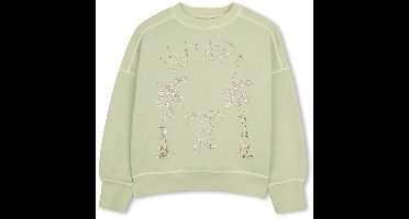 Zadig & Voltaire X60541 Sweatshirt Groen 8 Years Meisje