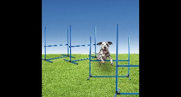 Hondensportset, 4 hindernissen - Afmetingen per hindernis: 65 x 95 x 95 cm.