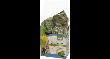 JR FARM VITAL-BLOK LUCHTWEGEN GRAANLOOS 300G