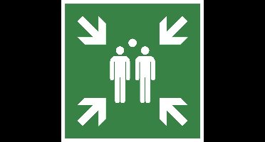 Exacompta Niet-zelfklevend polypropyleen bord Verzamelpunt 30x30 cm - Groen - 67120E