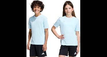 adidas T-shirt Kinderen Entrada 26 Jersey Hemelsblauw - Maat 164cm