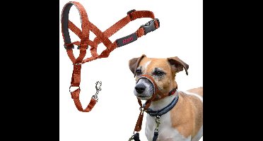 Muilkorf Company of Animals BURNT Oranje Maat 1