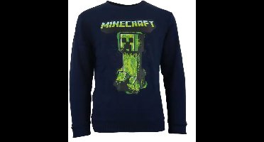 Minecraft kindertrui 6 jaar