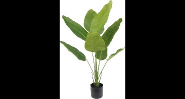 Silk-ka Kunstplant voor Binnen Strelitzia Groen 150 cm