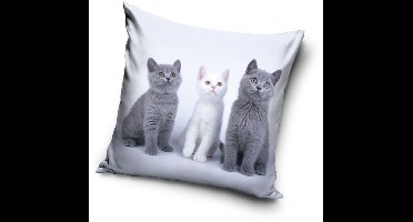Kat Trio decoratief kussenhoes 40x40 cm fluweel