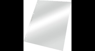 Leitz Standaard Showtas A4 PVC - 4-gaats - 100 Stuks - Transparant