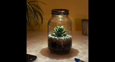 Lichtgevend Terrarium van Gift Republic