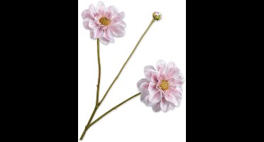 Silk-ka Kunstbloem-Zijden Bloem-Kunsttak Dahlia Steel Roze-Creme 75cm