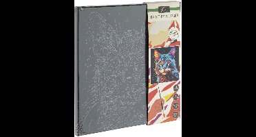 Creative Craft Group schilderen op nummer set kat zwart canvas 30x30cm.