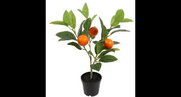 Countryfield Kunstplant Mandarijn M
